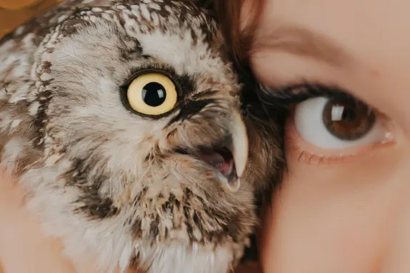 Casino Loco Win Ondersteuning